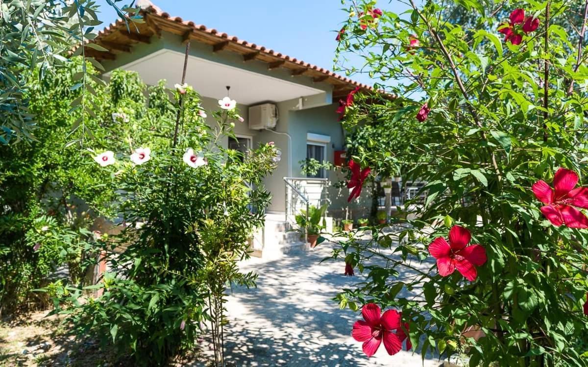 Mougkrasstudio Apartment Skala Rachoni  Exterior photo
